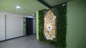 建筑设计