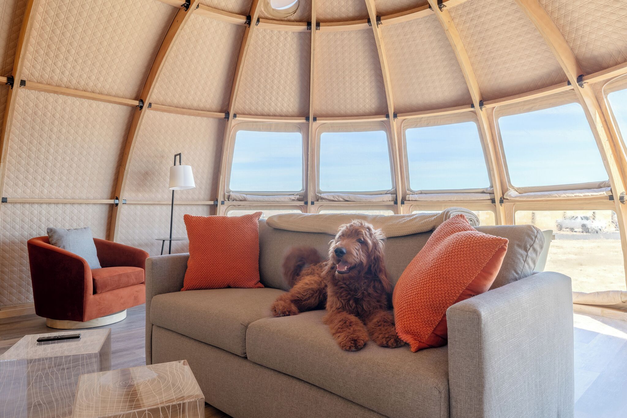 A cozy interior with a sofa, cushions, a lamp, and a view through large windows.