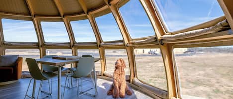 Tente | Coin séjour