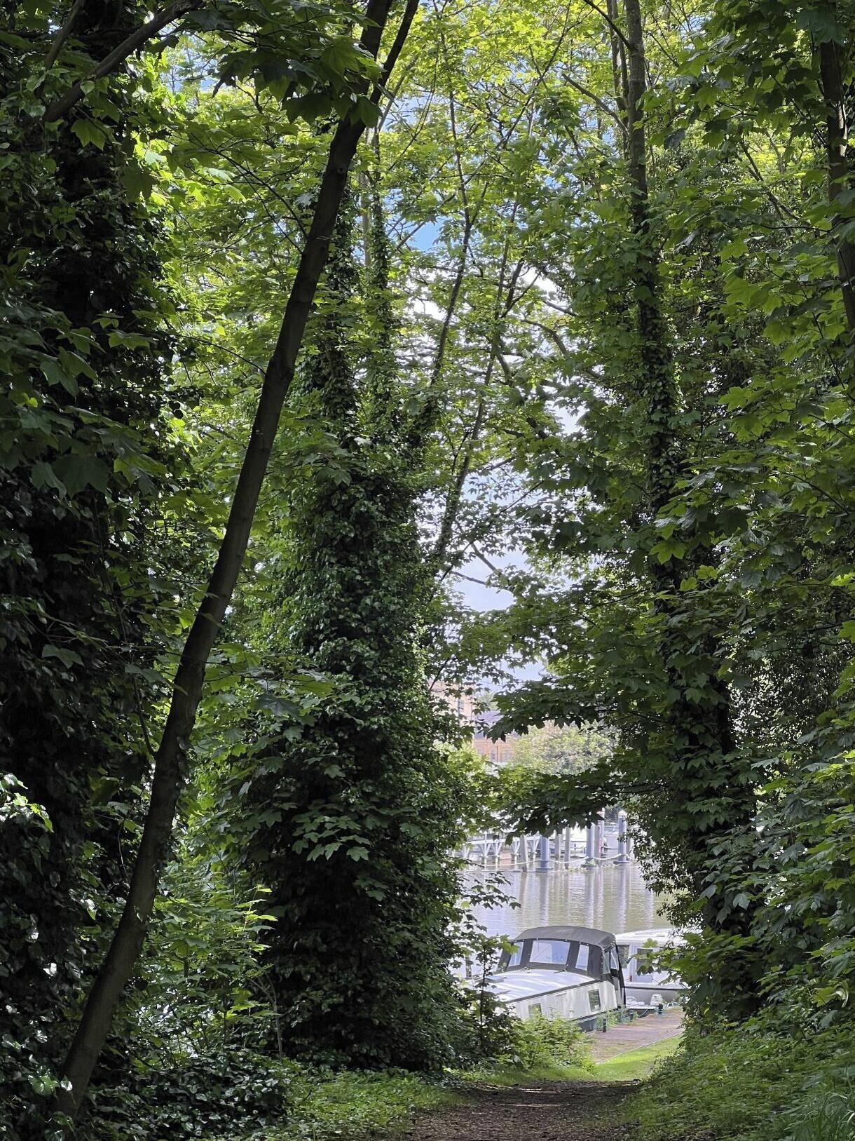 Une zone boisée avec un sentier menant à un bâtiment doté d’une grande fenêtre donnant sur une étendue d’eau.
