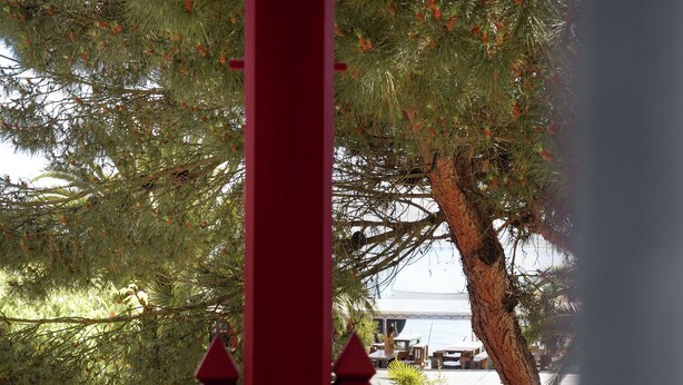 Une vue à travers une porte rouge, avec un arbre et un espace extérieur aménagé avec des sièges.