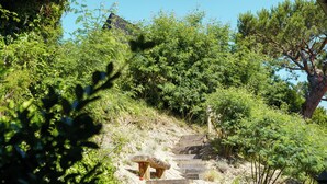 Un escalier en bois menant au sommet d’une colline, entouré d’une végétation luxuriante et d’arbres.
