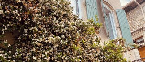 Details aan de buitenkant