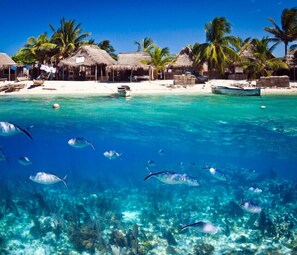 A beach with clear turquoise water, palm trees, and thatched-roof huts.