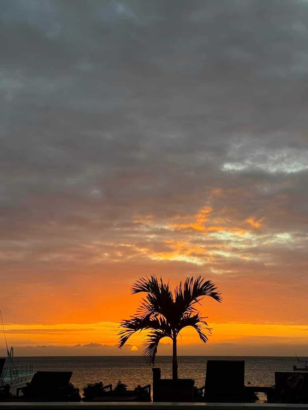 A sunset view with a palm tree silhouette, lounge chairs, and a calm sea.