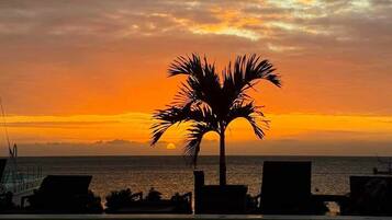 A sunset view with a palm tree silhouette, lounge chairs, and a calm sea.