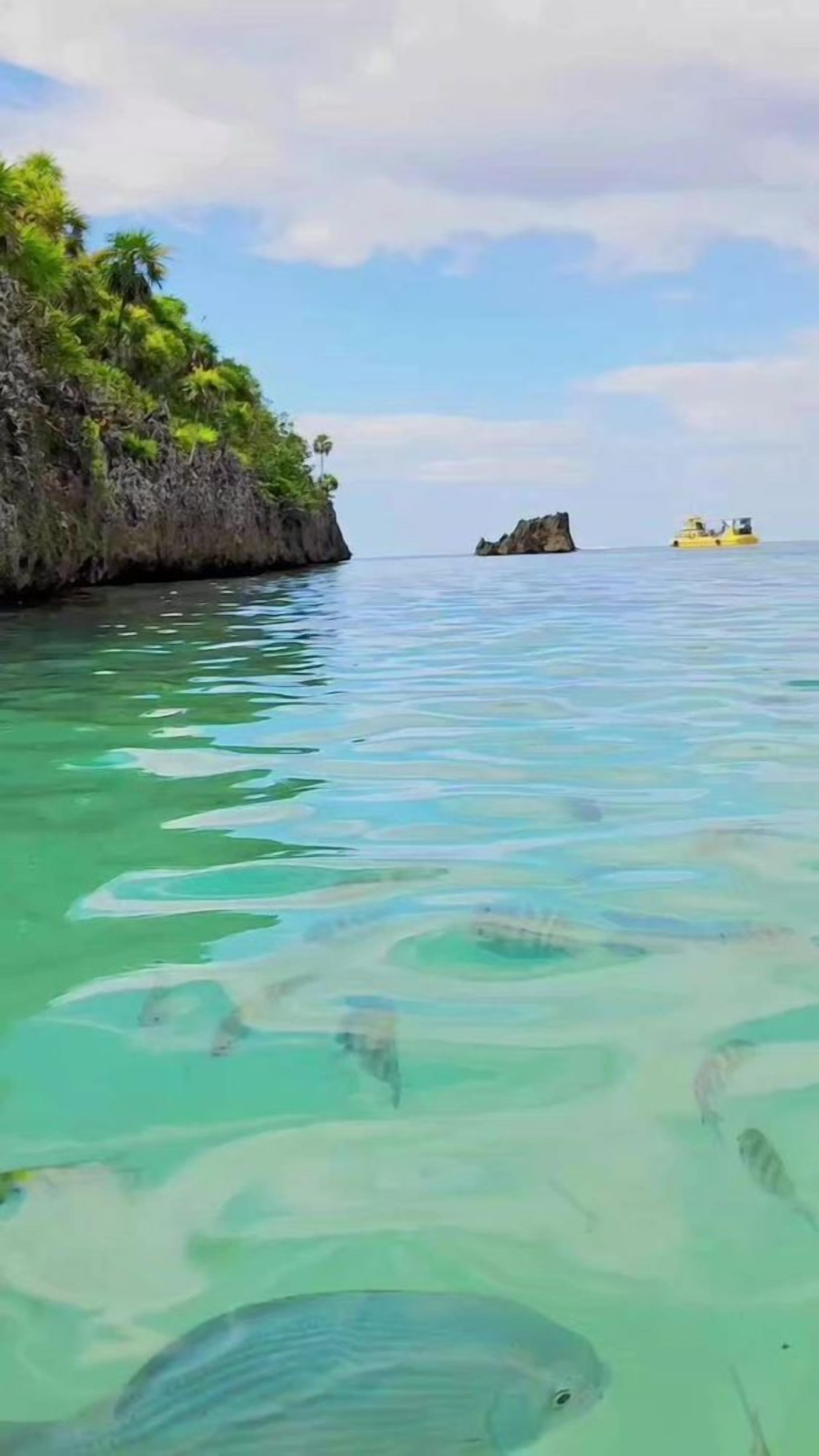On aperçoit clairement une zone côtière avec des eaux calmes, un promontoire rocheux et un bateau jaune au loin.