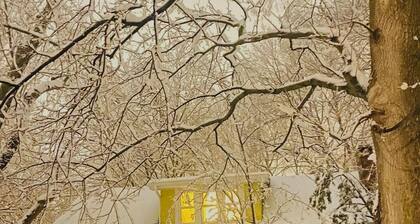 Welcoming, Boho Chic, cozy, well-situated. Walk to the stadium, coffee & bars.