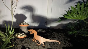Un jardín con plantas, un juguete de dinosaurio y rocas.