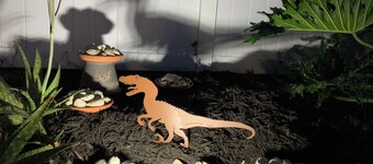 Peaceful family retreat-centrally located for attraction options!