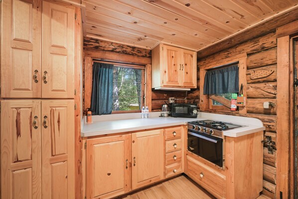 Fridge, microwave, oven