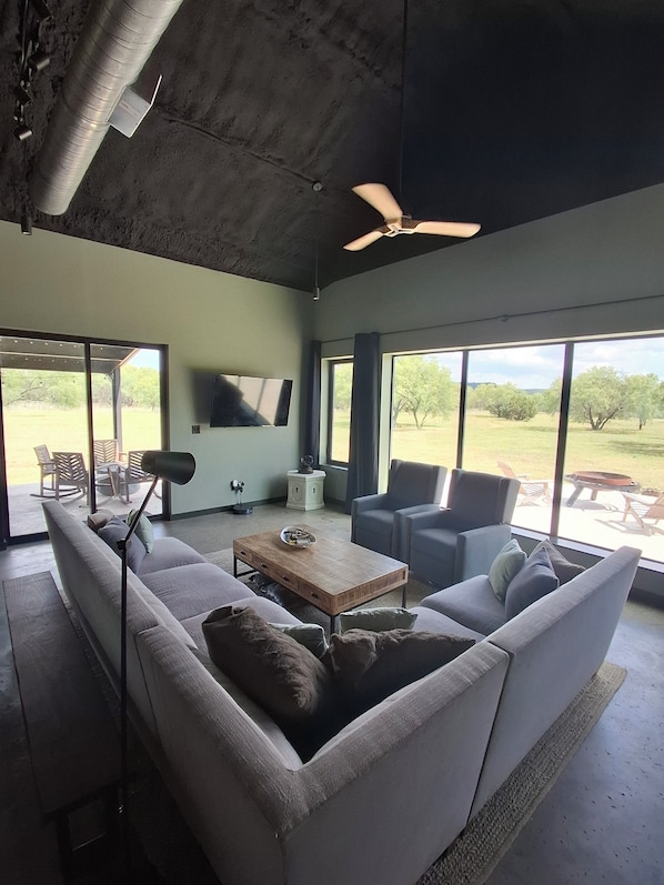 Smart TV, fireplace, video games, DVD player