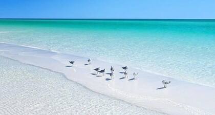 TURQUOISE WATER AND WHITE SAND IS CALLING! OUR BEAUTIFUL CONDO AWAITS YOUR STAY!