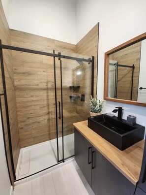 Shower, hair dryer, towels, toilet paper