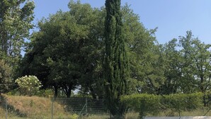 A swimming pool with clear blue water, surrounded by trees and a fence. - Luberon - Vue Exceptionnelle - Location de Maisonnette 4 Personnes (Ménerbes)
