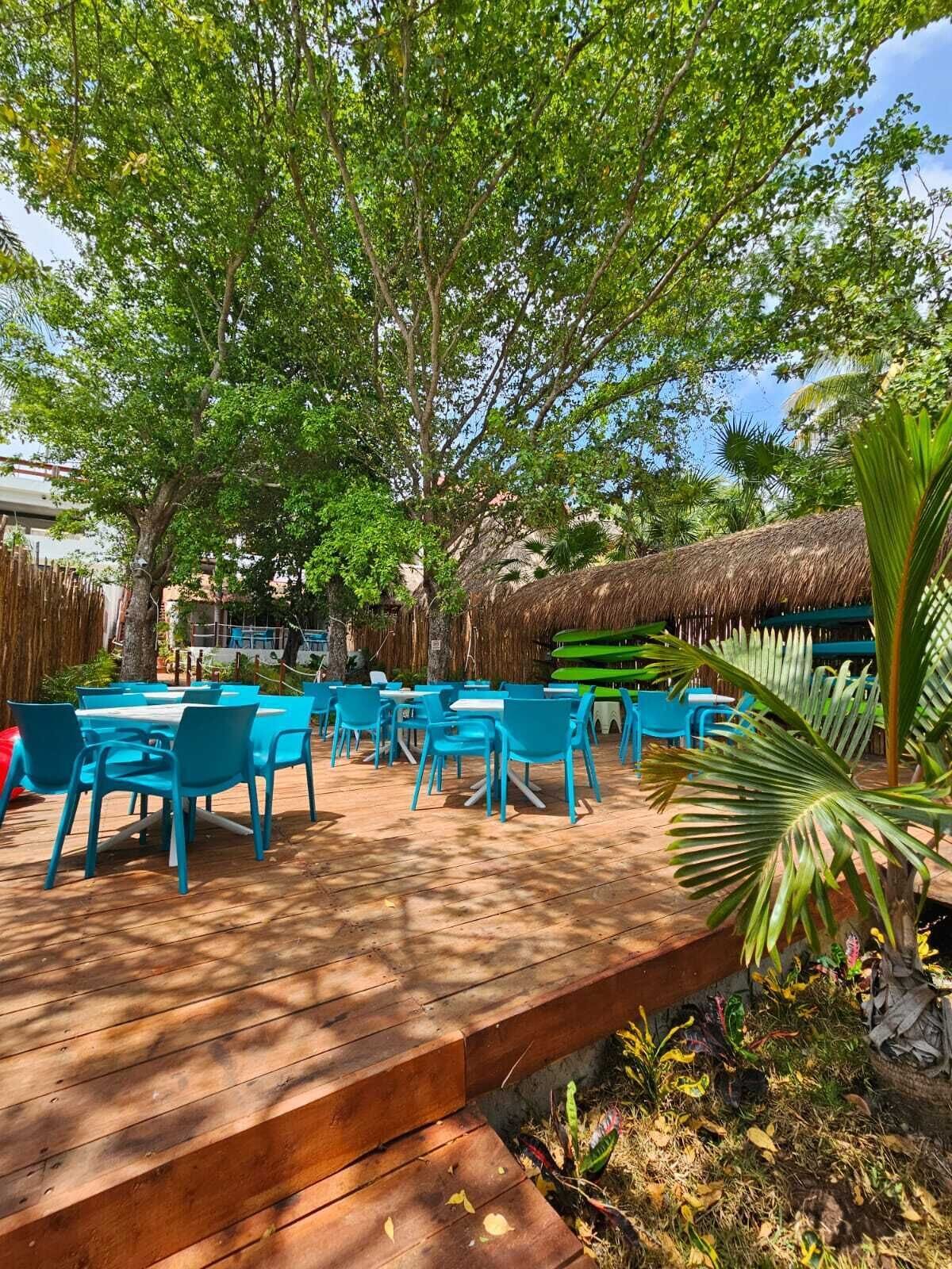 An outdoor seating area with blue chairs and tables, surrounded by trees and a thatched-roof structure.
