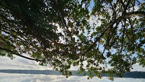 A wooden deck extending over a calm lake with a clear reflection of the sky and surrounding trees.