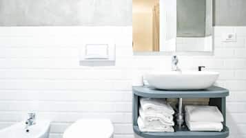 Dusche, Regendusche, Haartrockner, Bidet