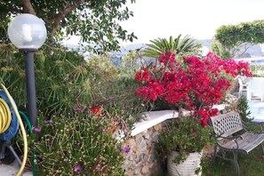 Property grounds - Casa Acqua Marina Ponza 3 (Ponza)