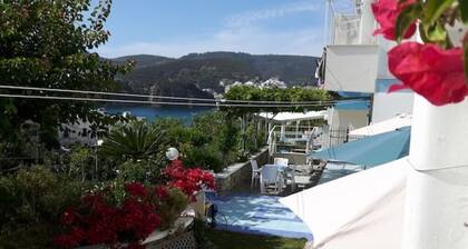 Casa Acqua Marina Ponza 3