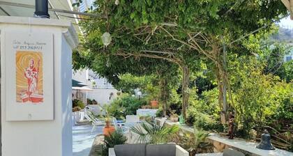 Casa Acqua Marina Ponza 4