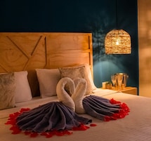 Una habitación de hotel con cama, almohadas, cabecero, mesita de noche con vasos y una planta pequeña, y una lámpara colgante.