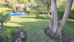En velholdt have med swimmingpool, træer og diverse planter.