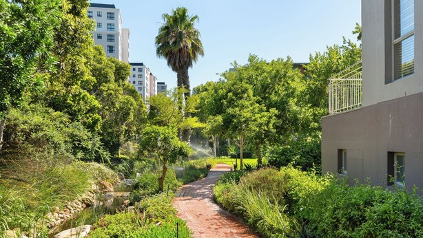 Un sendero bordeado por abundante vegetación y un edificio de diseño moderno.