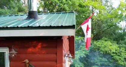 The Love Shack (pet friendly, romantic cabin with hot tub and water access)