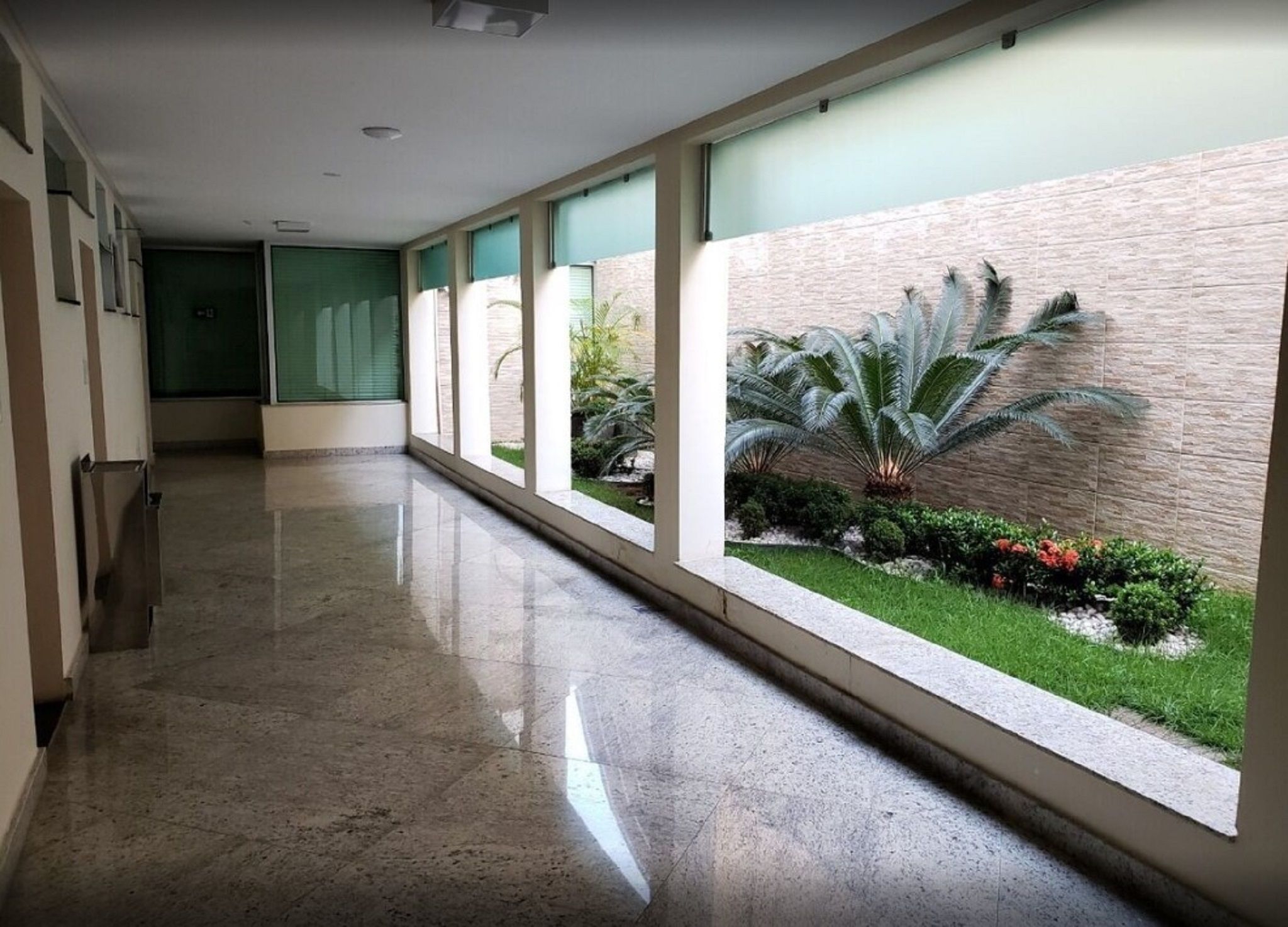 Um corredor comprido e estreito com piso polido, grandes janelas e vista para um jardim arborizado com uma palmeira.