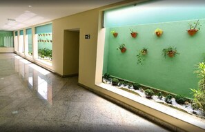 Un pasillo con pared verde, plantas en macetas y un cartel que indica un baño.