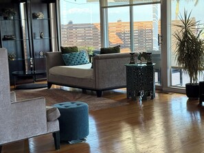 Smart TV, chimenea y libros 