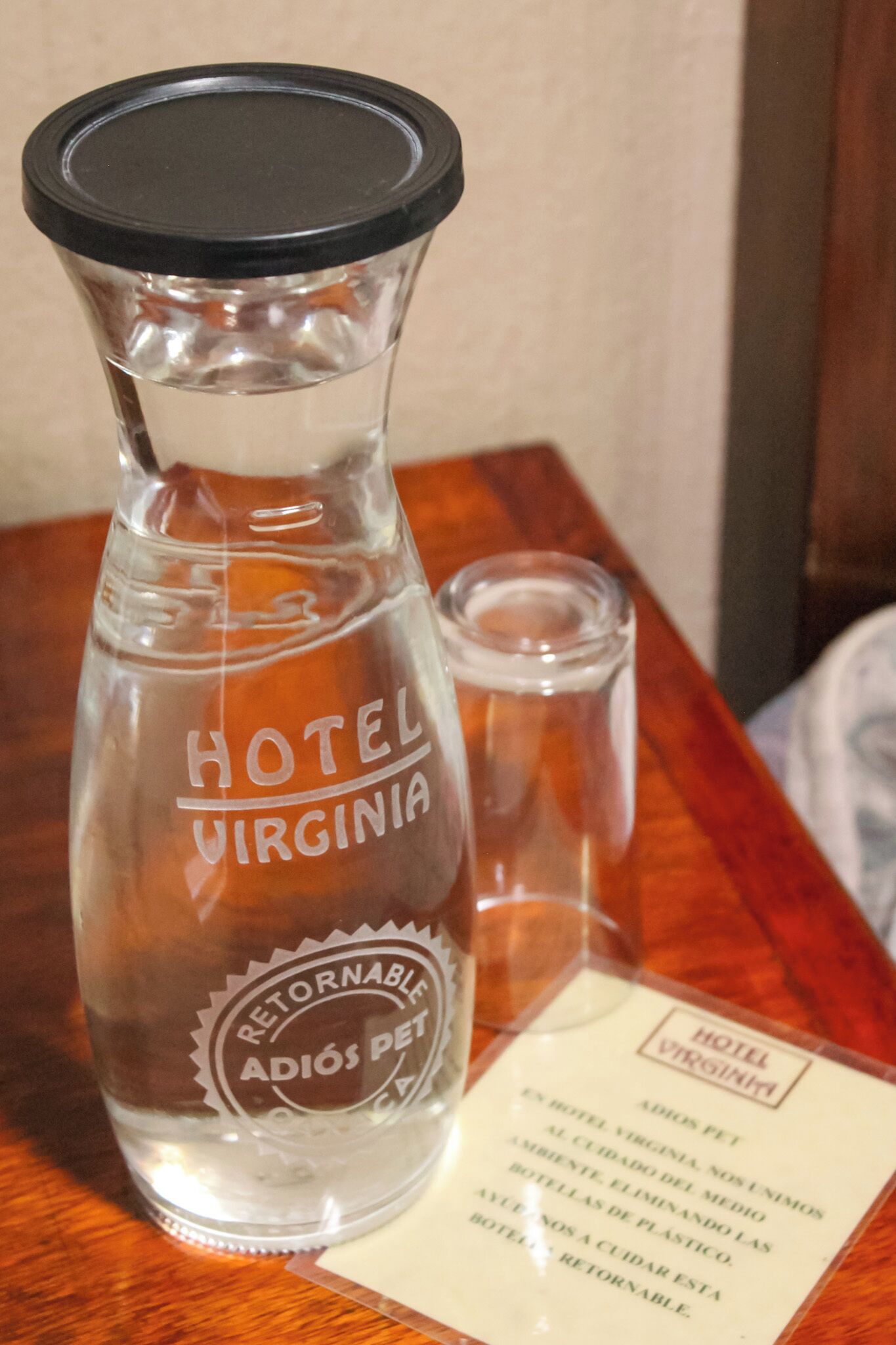 Foto - Hotel Virginia