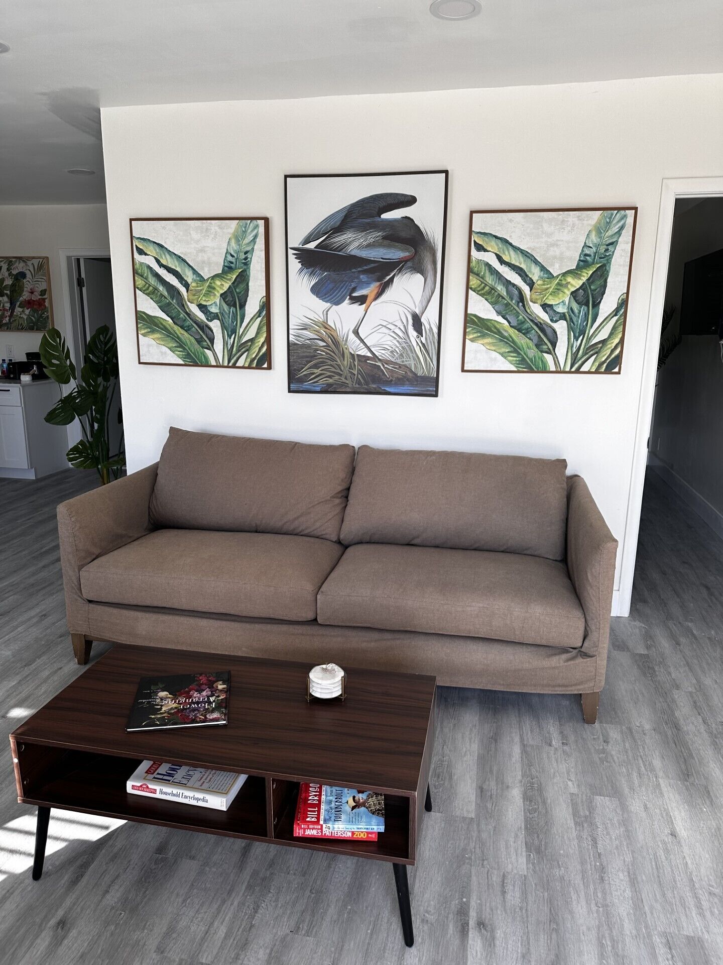 Un salon avec un canapé marron, une table basse sur laquelle sont posés des livres et trois reproductions botaniques encadrées accrochées au mur.