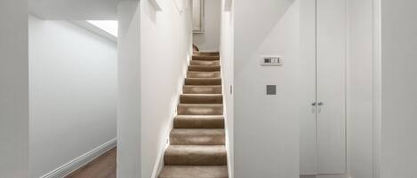 Un interior moderno con una escalera alfombrada, paredes blancas y suelo de madera.