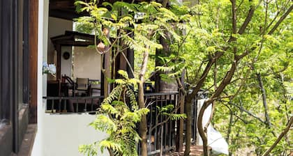 HOTEL SOLACHE INN