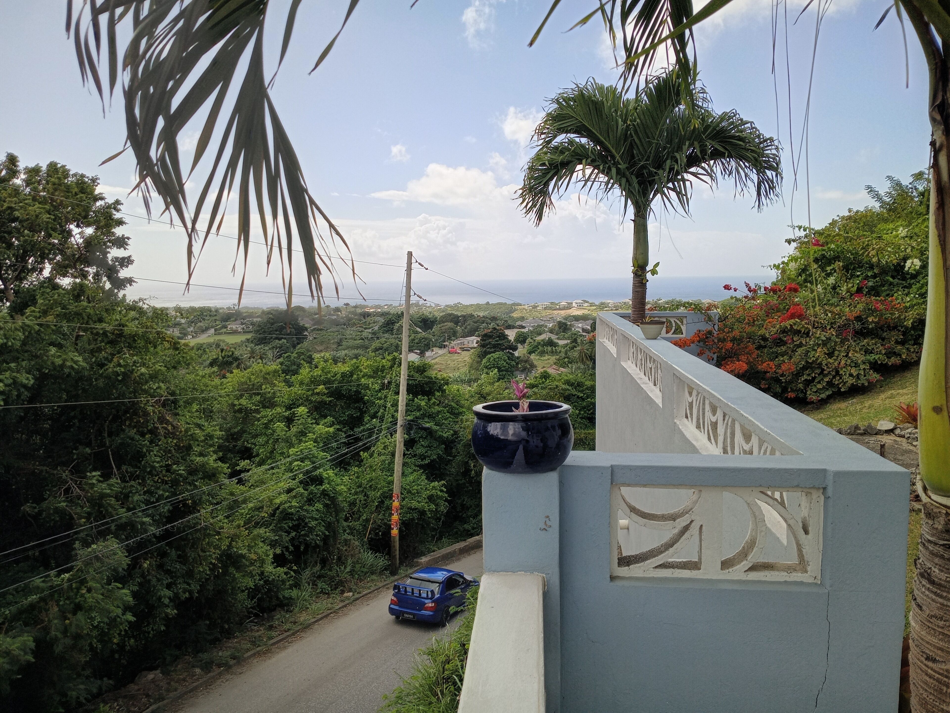 A road with a blue car, a palm tree, and a view of the landscape.