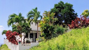 A building with a white facade, surrounded by lush greenery and palm trees.