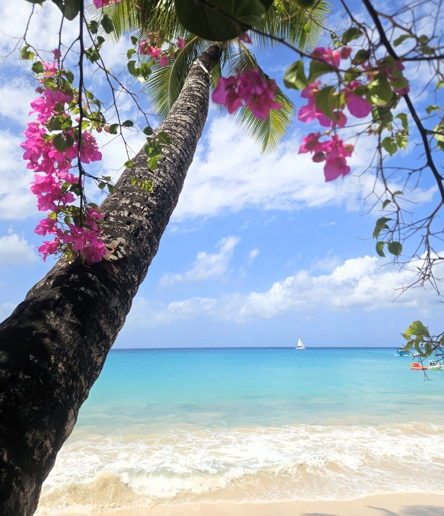 Sun-loungers, beach towels