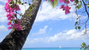 Sun-loungers, beach towels