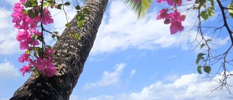 Lettini da mare, teli da spiaggia