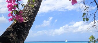 Breezy Vista – St. James One‑Bedroom with Sea Breeze, 
Views, WiFi & Parking