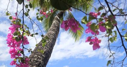 Breezy Vista – St. James One‑Bedroom with Sea Breeze,
Views, WiFi & Parking