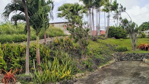 A landscaped garden with palm trees, a concrete path, and a stone wall.