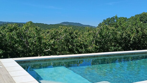 Ein rechteckiger Pool mit klarem, blauen Wasser, umgeben von einer gefliesten Terrasse.