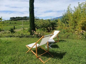 Àrea exterior de l'allotjament