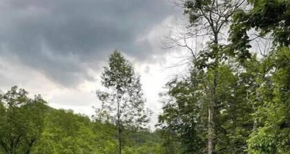 Rustic Mountain Cabin 225