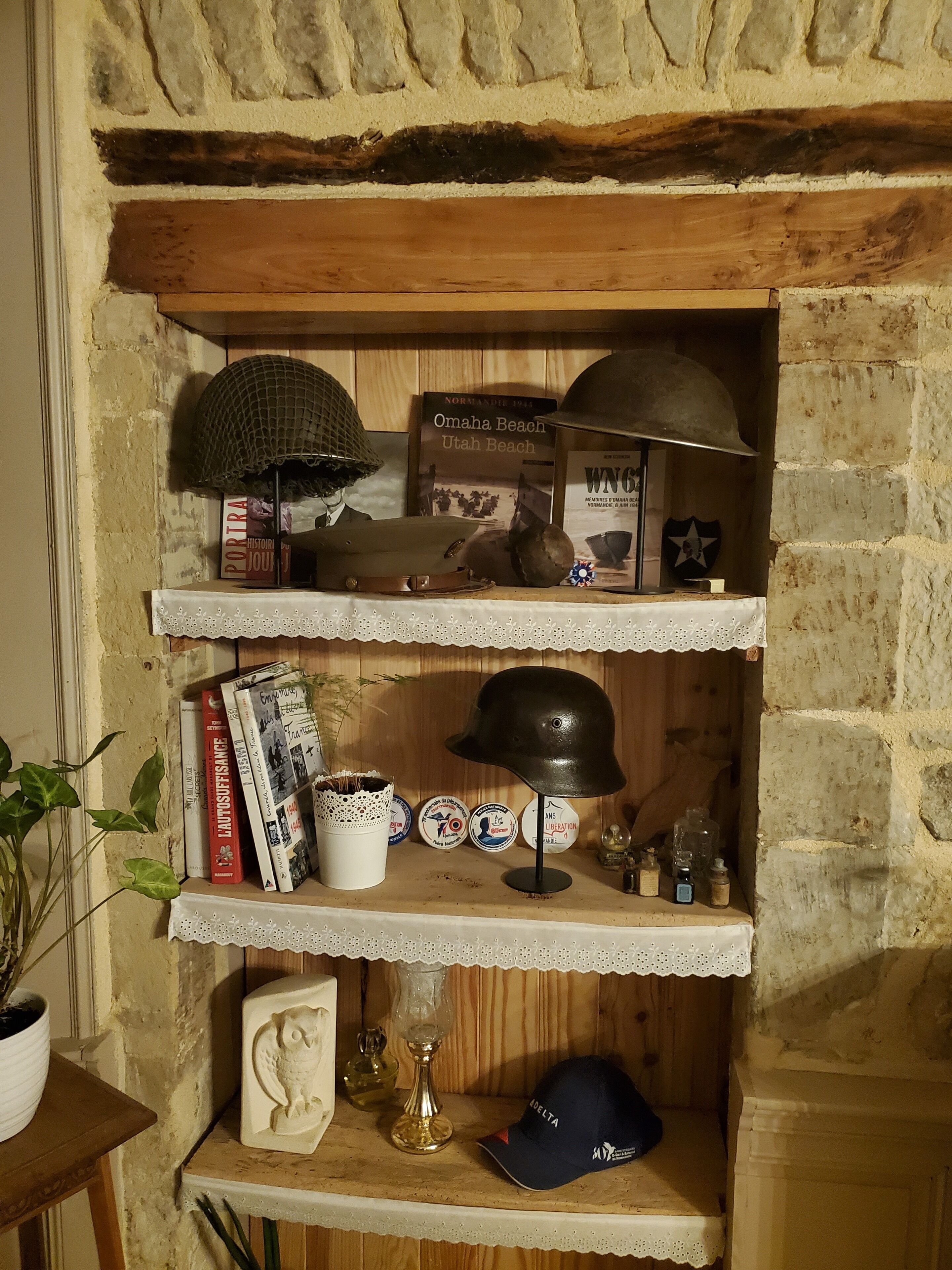 Una estantería con libros, un casco, una planta en maceta y un búho decorativo.