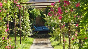 Un sendero en un jardín con un pérgola de madera y flores en flor.