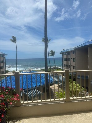 Property grounds - Kona Reef F4 Ocean View Condo Ground Floor No Stairs and 5 min walk to Downtown (Kailua-Kona)